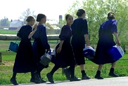 Amish Hoa Ky